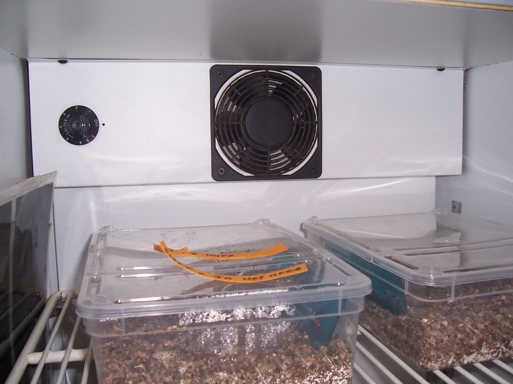 Homemade Incubator - Page 2 - Reptile Forums