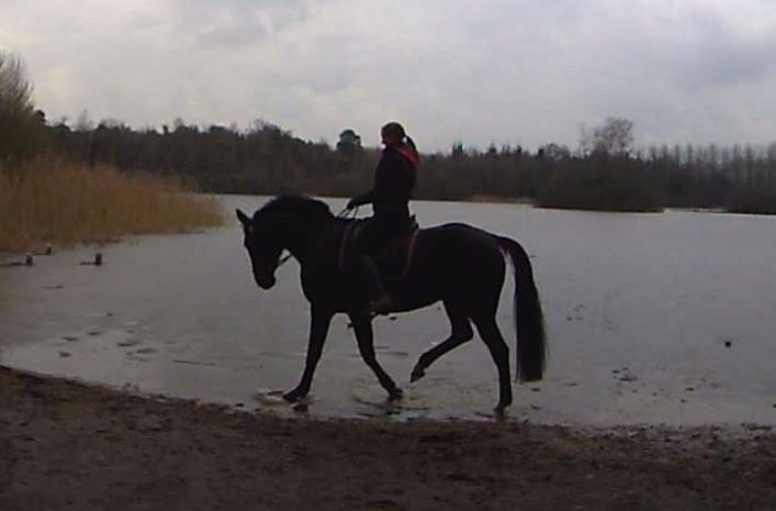 Afbeelding