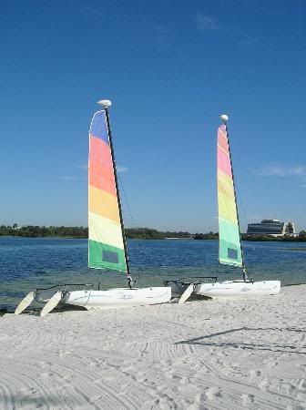 sail-boats-at-the-poly.jpg