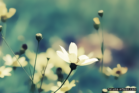 ���� ���� ������ �� ���� ������