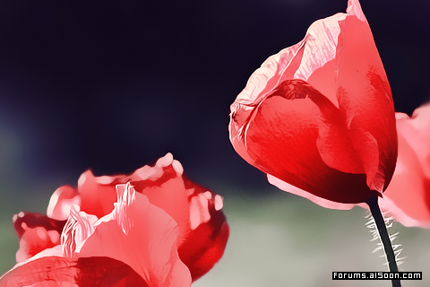 ���� ���� ������ �� ���� ������