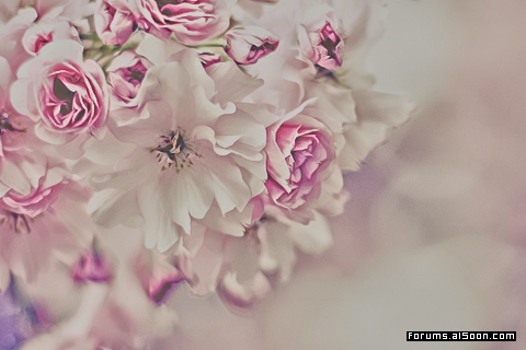 ���� ���� ������ �� ���� ������