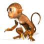 monkey_.gif