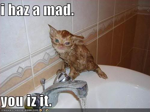 wet-mad-cat-sink.jpg