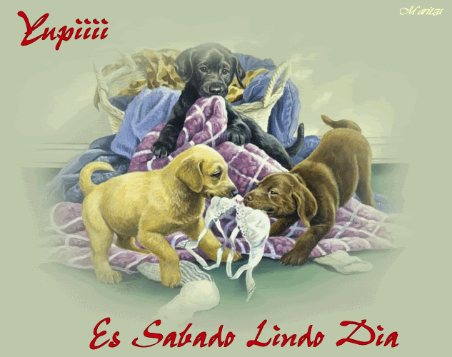 Animacin2-1.gif picture by judaporsiempre