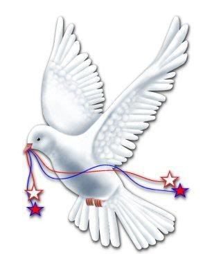 pomba11.jpg picture by judaporsiempre