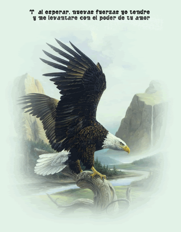 aguila.gif picture by judaporsiempre