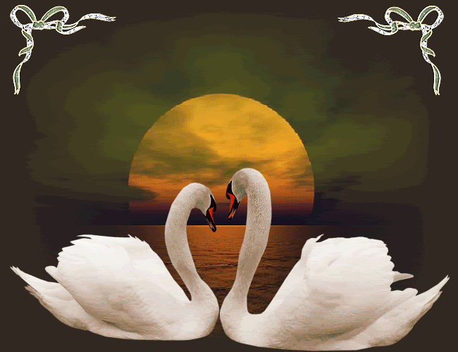 cisne.gif picture by judaporsiempre