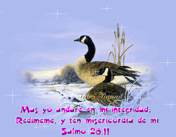 salmo2611.gif picture by judaporsiempre