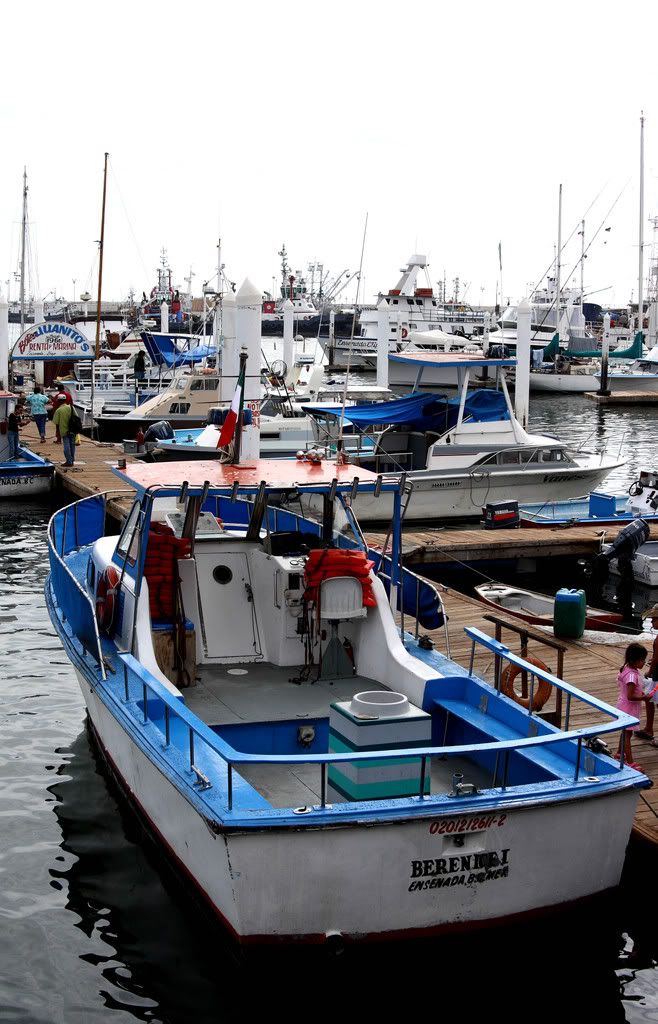 IMAGE: http://i192.photobucket.com/albums/z114/usingthejohn/mexico/Bernice.jpg