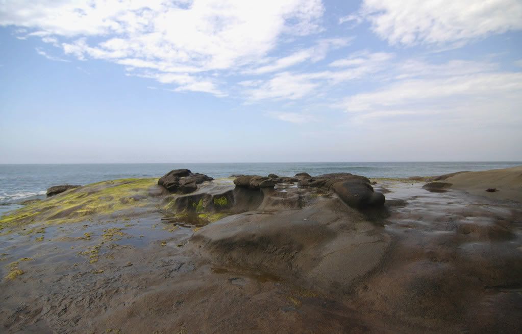 IMAGE: http://i192.photobucket.com/albums/z114/usingthejohn/mexico/algae.jpg