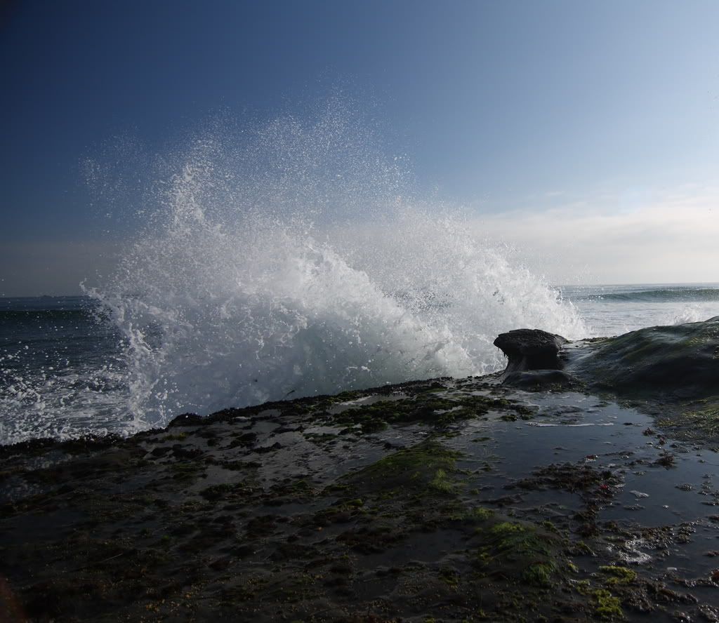 IMAGE: http://i192.photobucket.com/albums/z114/usingthejohn/mexico/washout.jpg