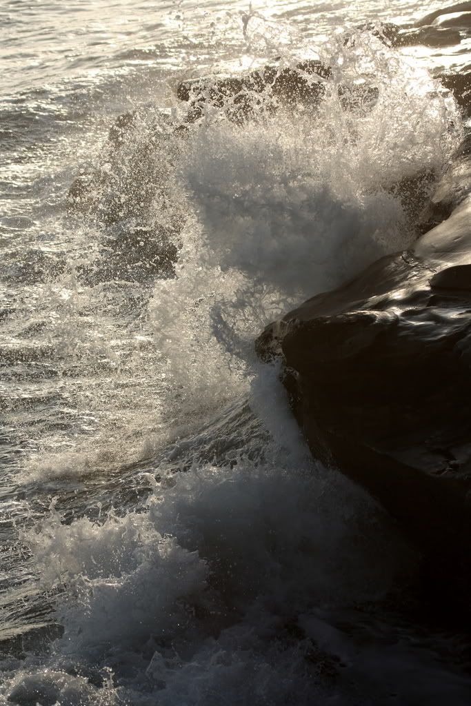 IMAGE: http://i192.photobucket.com/albums/z114/usingthejohn/mexico/wavey.jpg