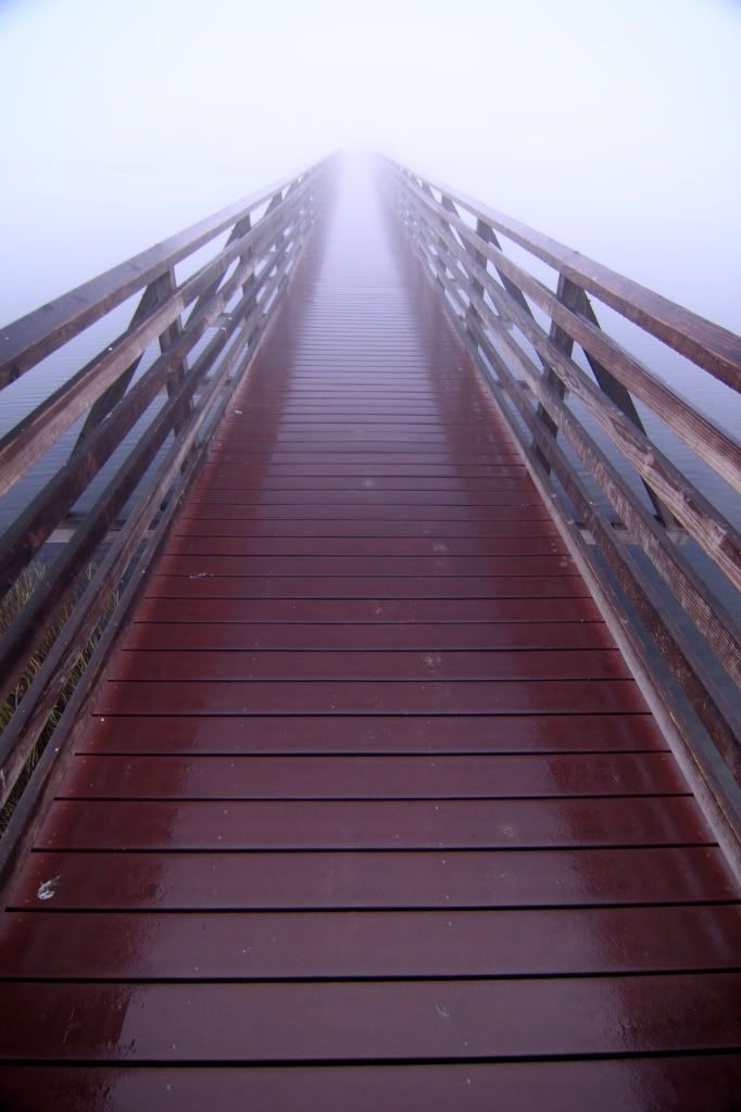 IMAGE: http://i192.photobucket.com/albums/z114/usingthejohn/wildlife/walkway.jpg