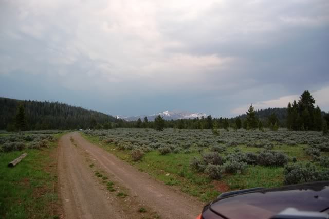 DSC_0650.jpg