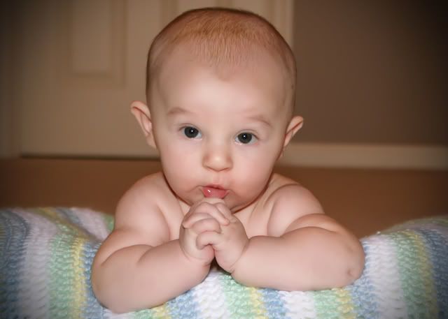 IMAGE: http://i192.photobucket.com/albums/z127/clickmypicture/IMG_0566copy.jpg