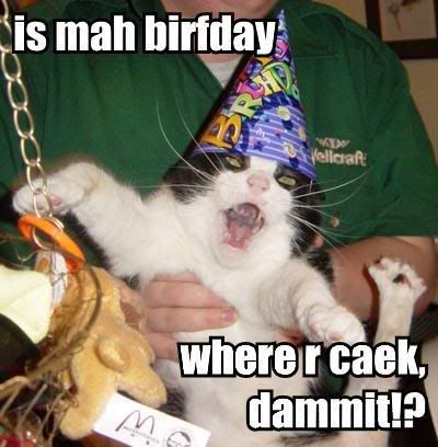 Birthday Cat Pictures, Images and Photos