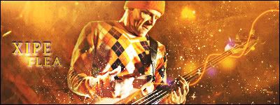 Flea3.jpg