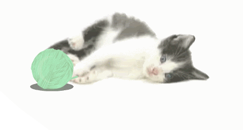 cute_kitty122.gif picture by arti22