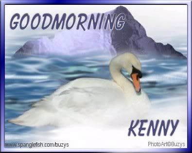 GoodMorSwan.jpg picture by DisabledKenny1