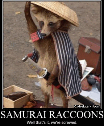 737_samurai-raccoons.gif