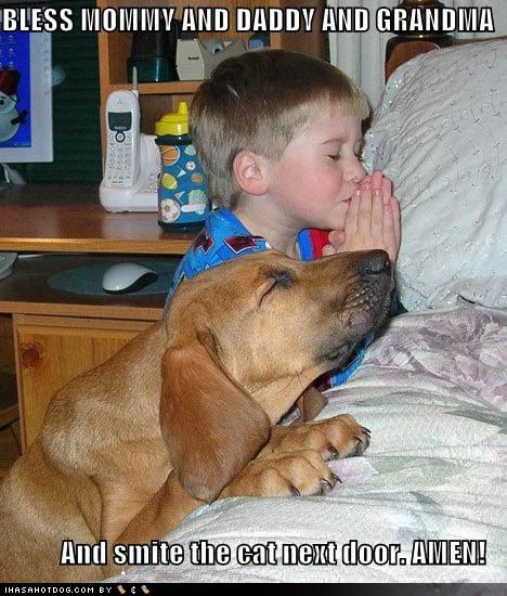 funny-dog-pictures-praying-dog-boy-.jpg