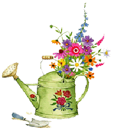 Posted Image