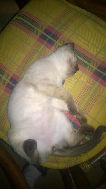 WP_20140301_006.jpg