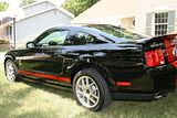 th_07Shelby009.jpg