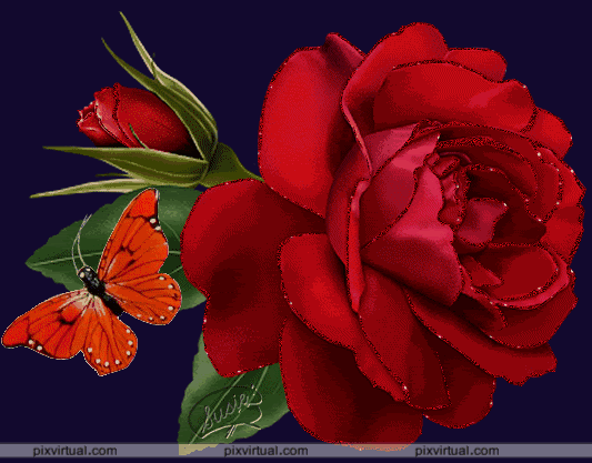 imagenes_de_flores_mBrqr.gif picture by javi1979