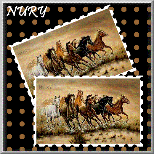 CABALLOS.gif picture by nury1319briones