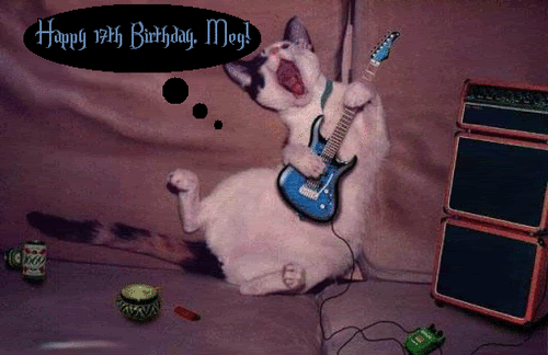 http://i192.photobucket.com/albums/z227/LoftySendsBDayArtv2/17thBDayMeg.gif