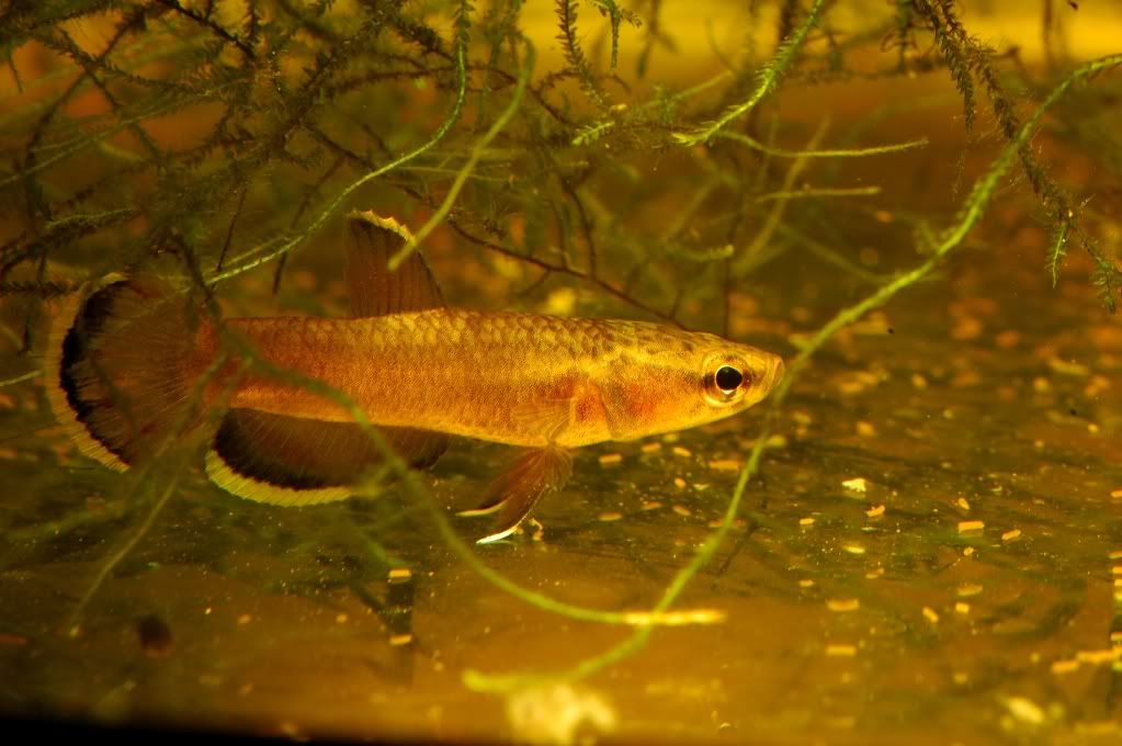 DSC_3151.jpg