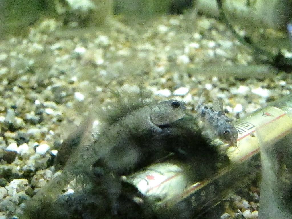 IMG_1478_1.jpg