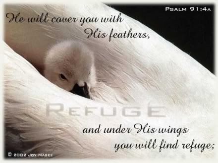 Refuge/wings