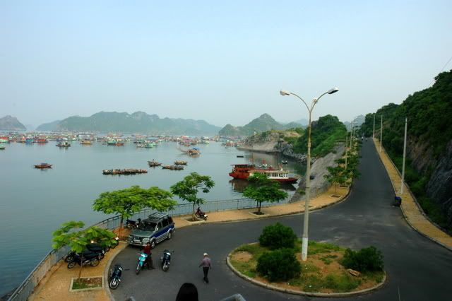 CATBA-HAIPHONG.jpg