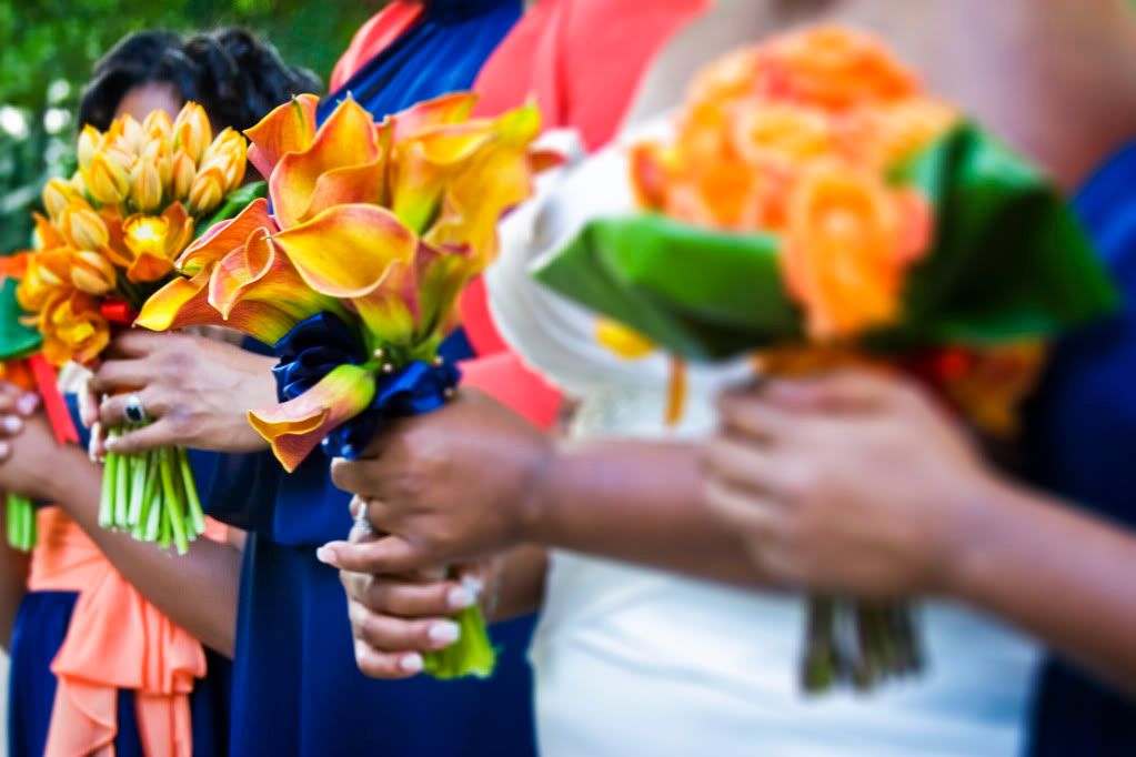 Capri_Darryl_Posed5.jpg picture by cacoffer