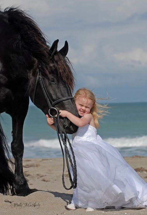 beach-friesian.jpg SO ADORABLE! image by Faithful113