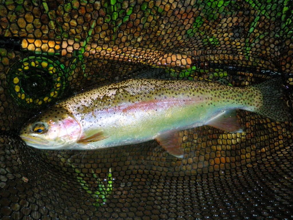 P5030243E.jpg