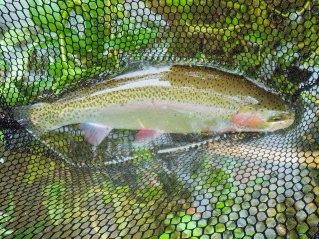 P5030247E-1.jpg