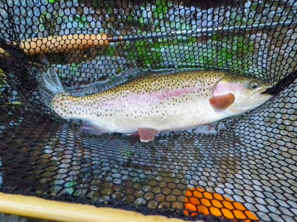 P5030249E.jpg