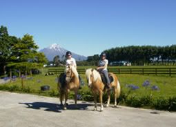 in_front_of_mount_taranaki.jpg