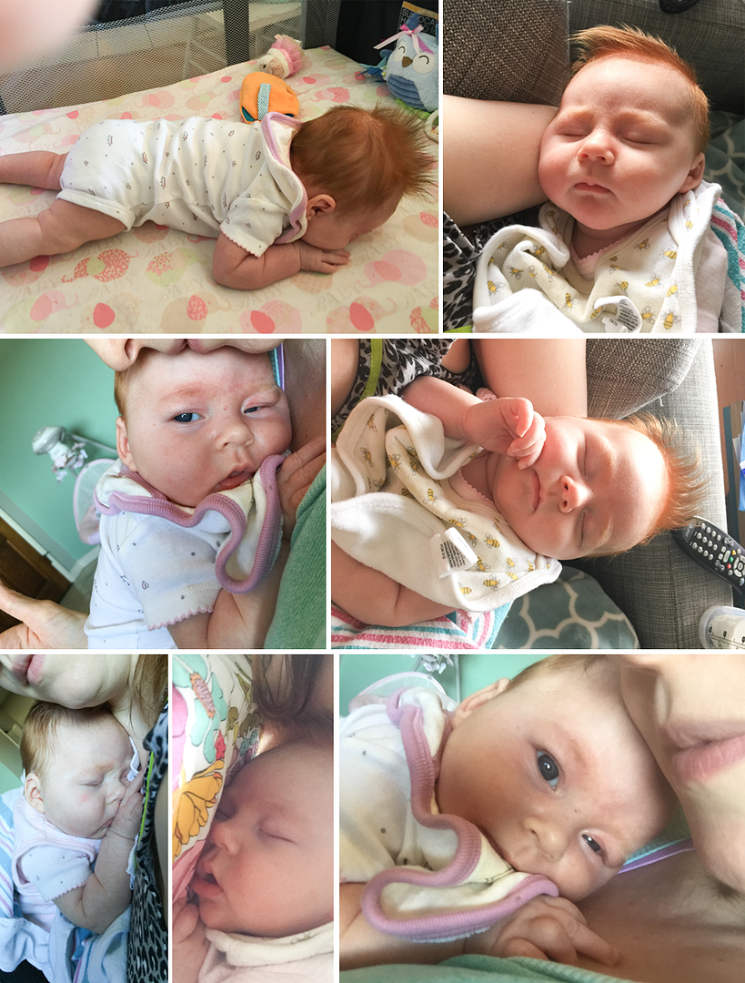  photo 10-Blog_zps5cyqdxdj.png