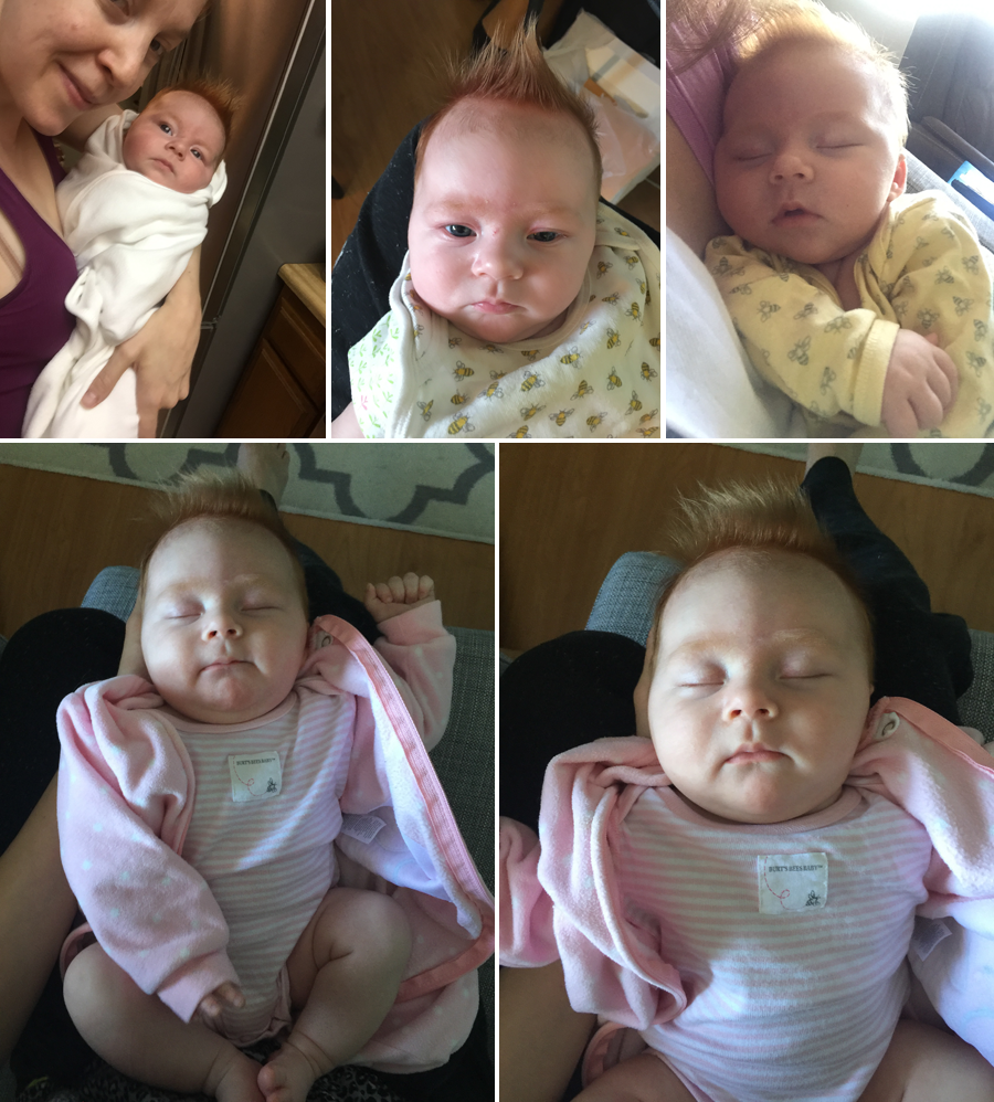  photo 11-Blog_zpsdvkb1rc5.png