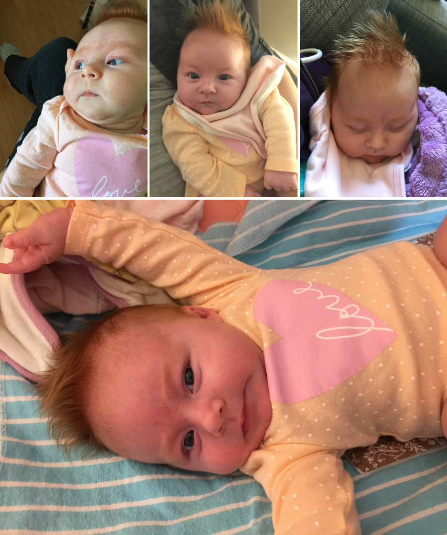  photo 2-Blog_zpsrlynwatn.png