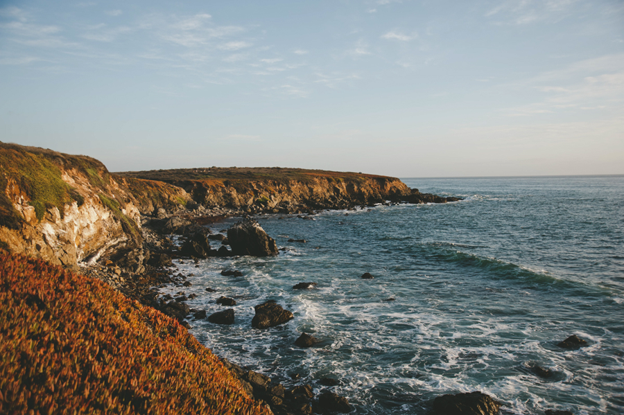  photo 25-Ursies-Wedding_zpsqs2gcgat.png