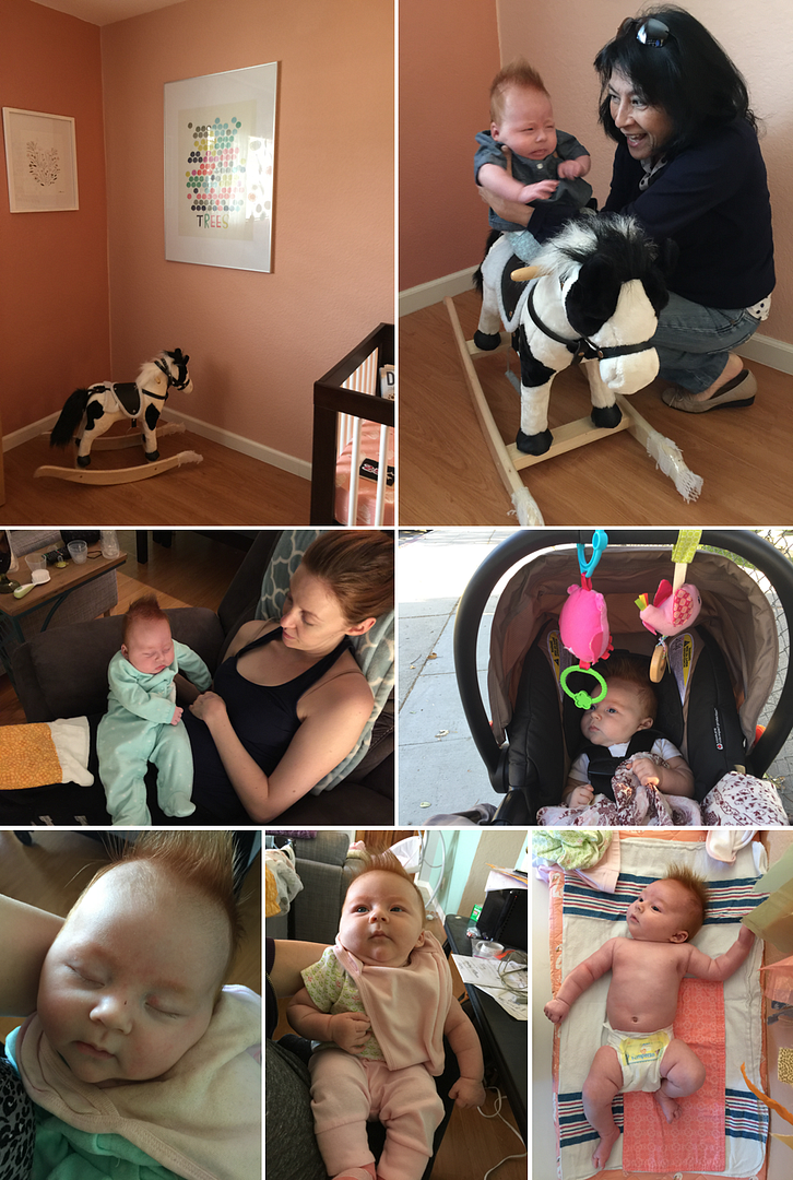  photo 3-Blog_zpsbebcjrgc.png