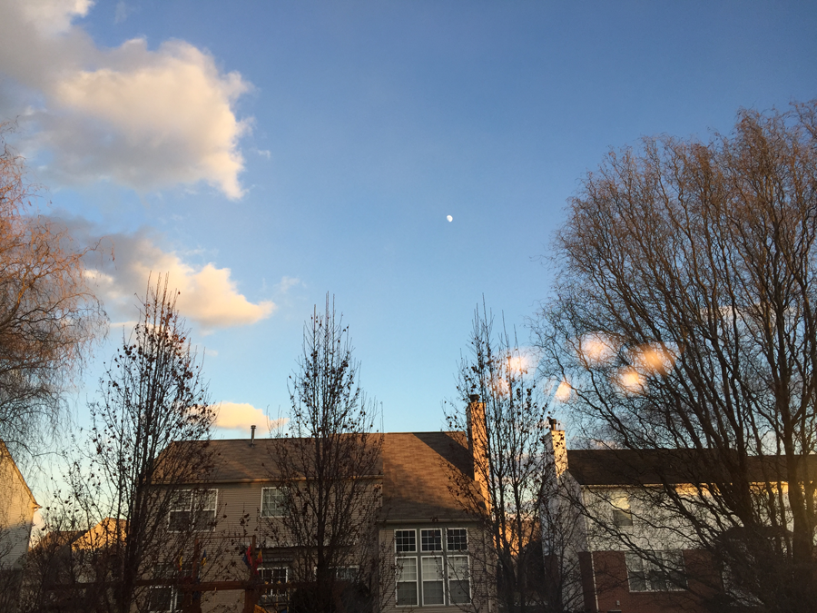  photo 43-Michigan-Holidays_zpsm61egzy1.png