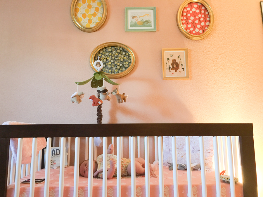  photo 6-Blog_zpsedsjhafi.png