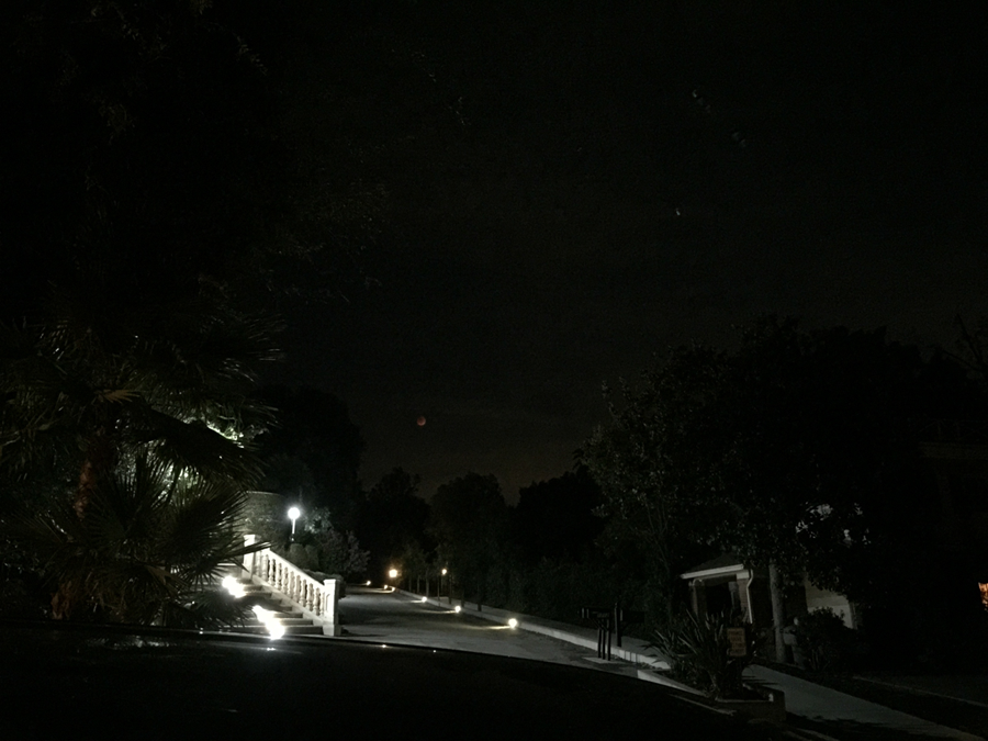 photo 7-Blog_zpsjm3dmxnw.png